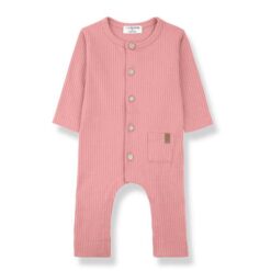 1 + in the family - Caproig Strawberry