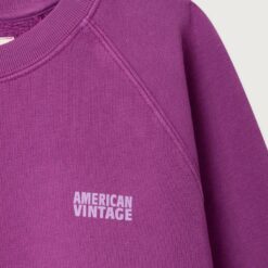 Alternative view of American Vintage - Sweatshirt Izubird